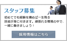 採用情報
